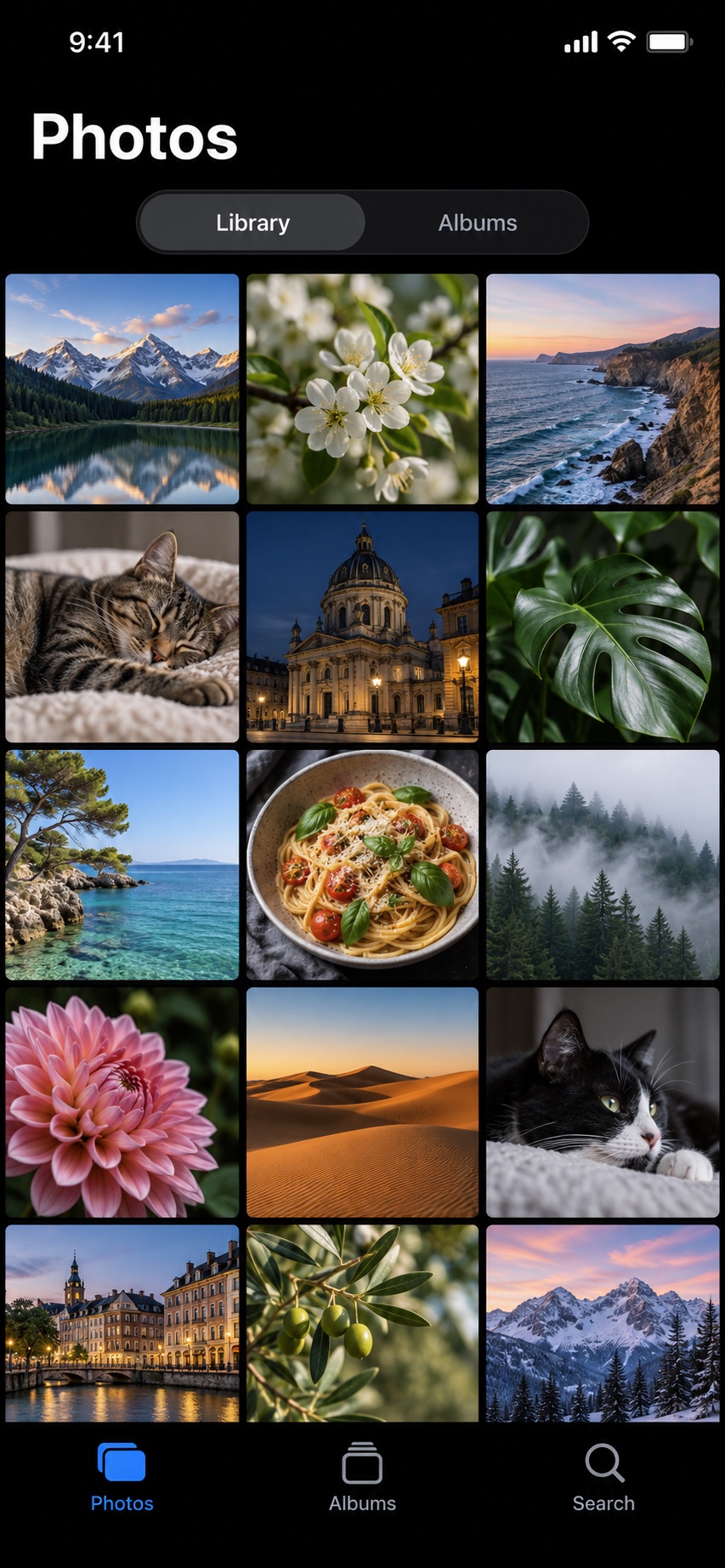 The decoy photo library shown instead of Convofold